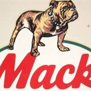 Bulldog MacK