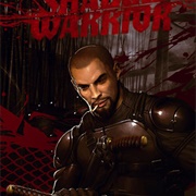 Shadow Warrior (2013)