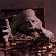 Belial Bradley - Basket Case