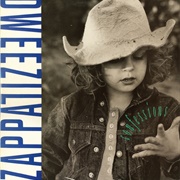 Dweezil Zappa - Confessions