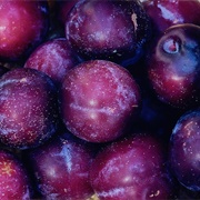 Purple Fruit