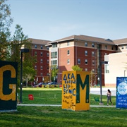 George Mason University