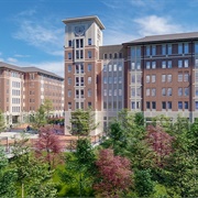 University of South Carolina Columbia