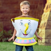 Beauty and the Beast Costume