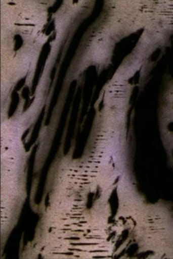 Motion of Light (2004)