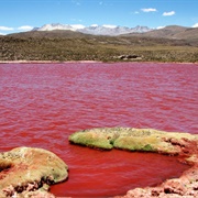 Piedras Rojas, Chile