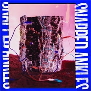 Snapped Ankles - Forest of Your Problems