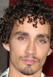 Summer of the Flying Saucer (2008)