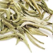 The Tea Spot Jasmine Silver Needle Tea