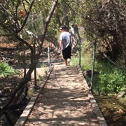Los Peñasquitos Canyon Preserve