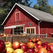 Dexter Cider Mill (Dexter, MI)