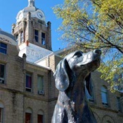 Johnson County, Missouri