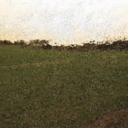 Destroyed Organic Catalyst