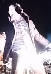 The Lonely Island Feat. Akon: I Just Had Sex Video (2010)