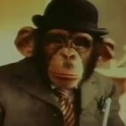 PG Tips Plumber Advert