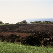 Pu'u O Mahuka Heiau