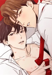 Crash Into Me (Re-Run)