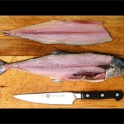 Catch, Clean, Fillet and Cook a Fish