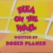 Flea on the Wall