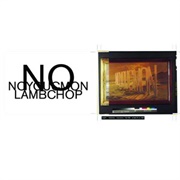 Lambchop - No, You C'mon