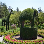 Green Animals Topiary Gardens, RI