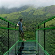 Glass Bridge Wayanad