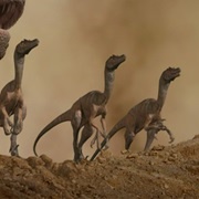 Jurassic Park Velociraptors