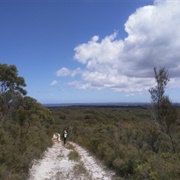 French Island Trails, Australia