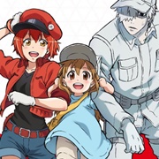 Cells at Work Series