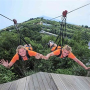 Forward Facing Zipwire