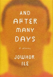And After Many Days (Jowhor Ile)