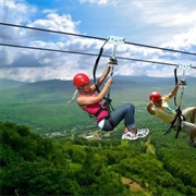 Ride a Zip Line