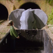 Henry and the Elephant