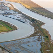 Havergate Island, Suffolk