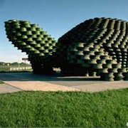 Largest Turtle in the World--Wheel Rim Turtle