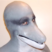Dolphin Muzzle