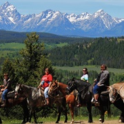 Grand Teton NP Horseback Riding