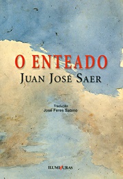O Enteado (Juan José Saer)