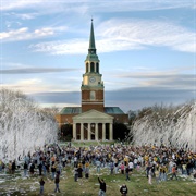 Wake Forest University