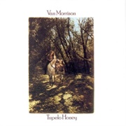 Tupelo Honey (Van Morrison, 1971)