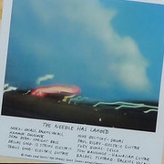 The Needle Has Landed - Neko Case