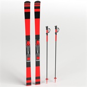 Skis and Poles