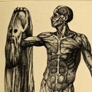 Tennessee: Skinned Tom