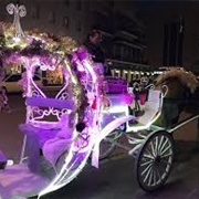 Carriage Tour of San Antonio
