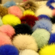 Things That Are Fluffy