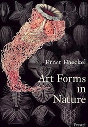 Art Forms in Nature (Ernst Haeckel)