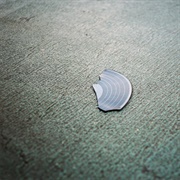 They Might Be Giants - BOOK