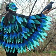 Bird Costume