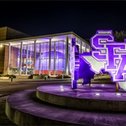 Stephen F. Austin State University