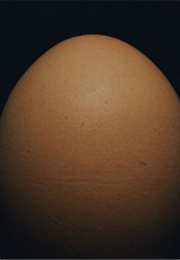 An Egg (-)
